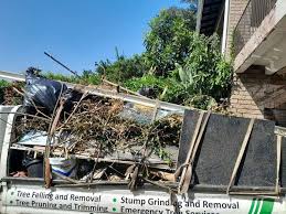 Professional Junk Removal in Fish Hawk, FL